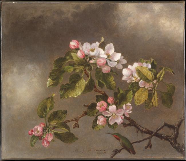 flowers on a gray background