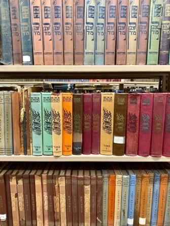 A photo of colorful books by Margoles-Davidzon filling three shelves