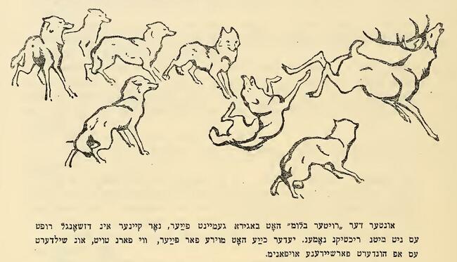 Animals from 1936 translation of The Jungle Book.JPG