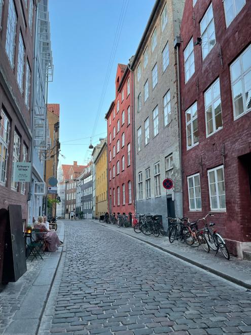 Colorful cobble-stoned street of Copenhagen
