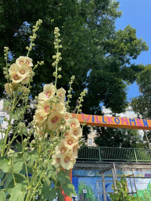 Beautiful flowers and a welcoming sign spotted along the Danube in Vienna