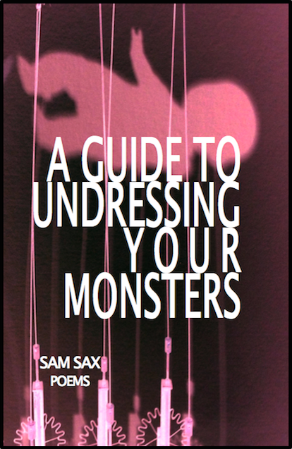 Image of the cover of sam sax's "A Guide to Undressing Your Monsters."