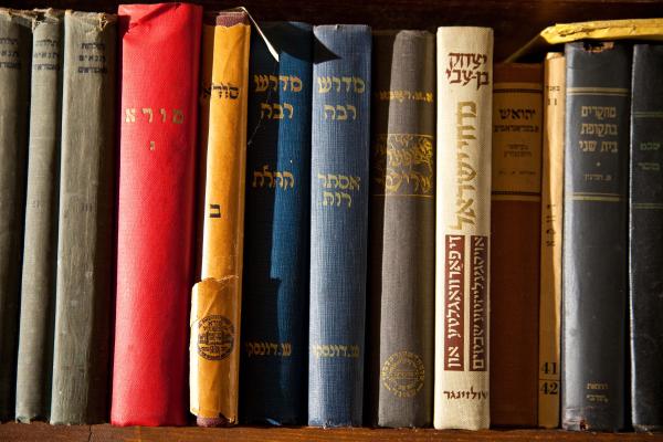 Yiddish books spines IMG_9270 copy.jpg